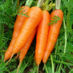 Carrot 250gm
