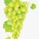 Green Grapes 1kg